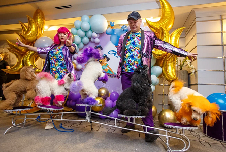 Особенности проведения шоу-программы «Фокусник с животными»